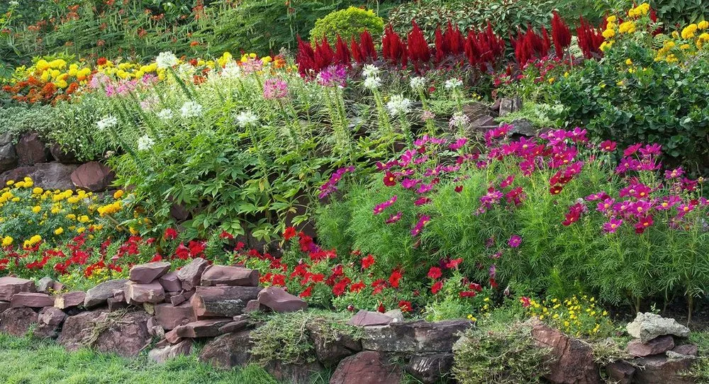 Affordable outdoor landscaping for year-round maintenance in Denver, CO by Sparrow Grow