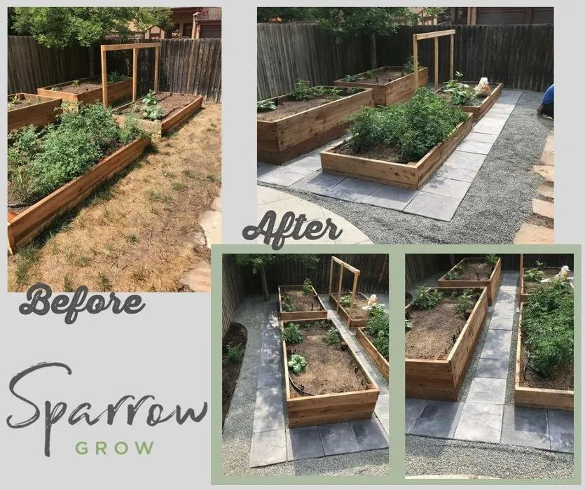 Expert garden landscaping experts serving Denver, CO - Sparrow Grow