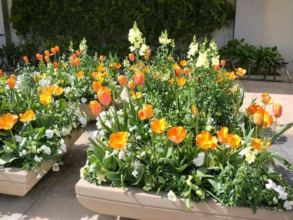 Affordable outdoor landscaping for residential properties in Denver, CO by Sparrow Grow