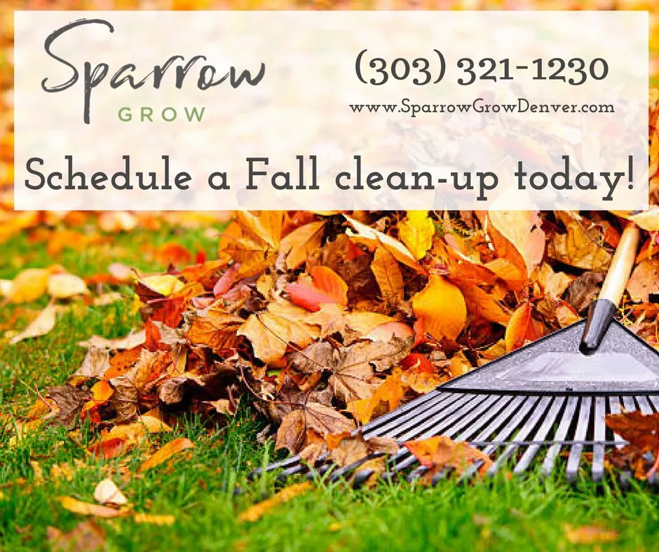 Top-rated garden landscaping in Denver, CO by Sparrow Grow