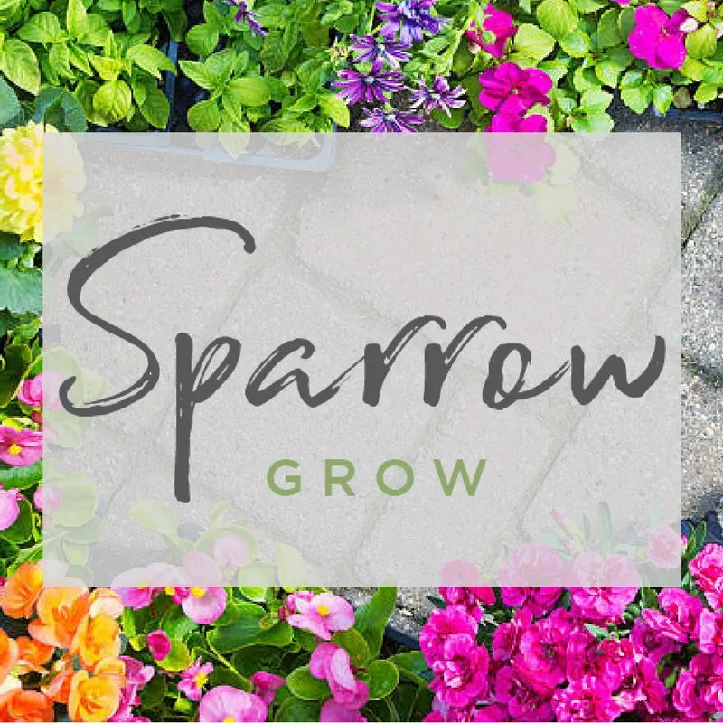 Expert outdoor landscaping for year-round maintenance in Denver, CO by Sparrow Grow