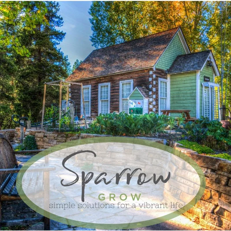 Custom garden landscaping for outdoor upgrades across Denver, CO - Sparrow Grow