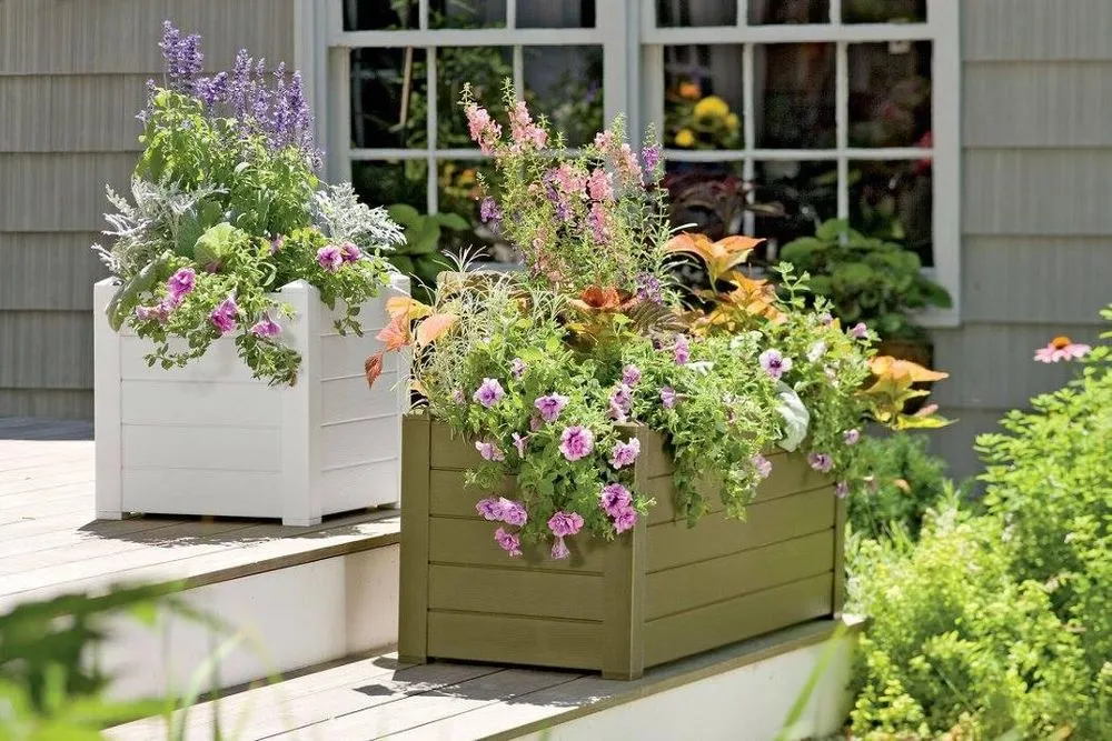 Reliable landscape installation experts serving Denver, CO - Sparrow Grow