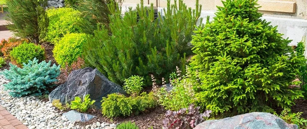 Local yard maintenance with custom design across Denver, CO - Sparrow Grow