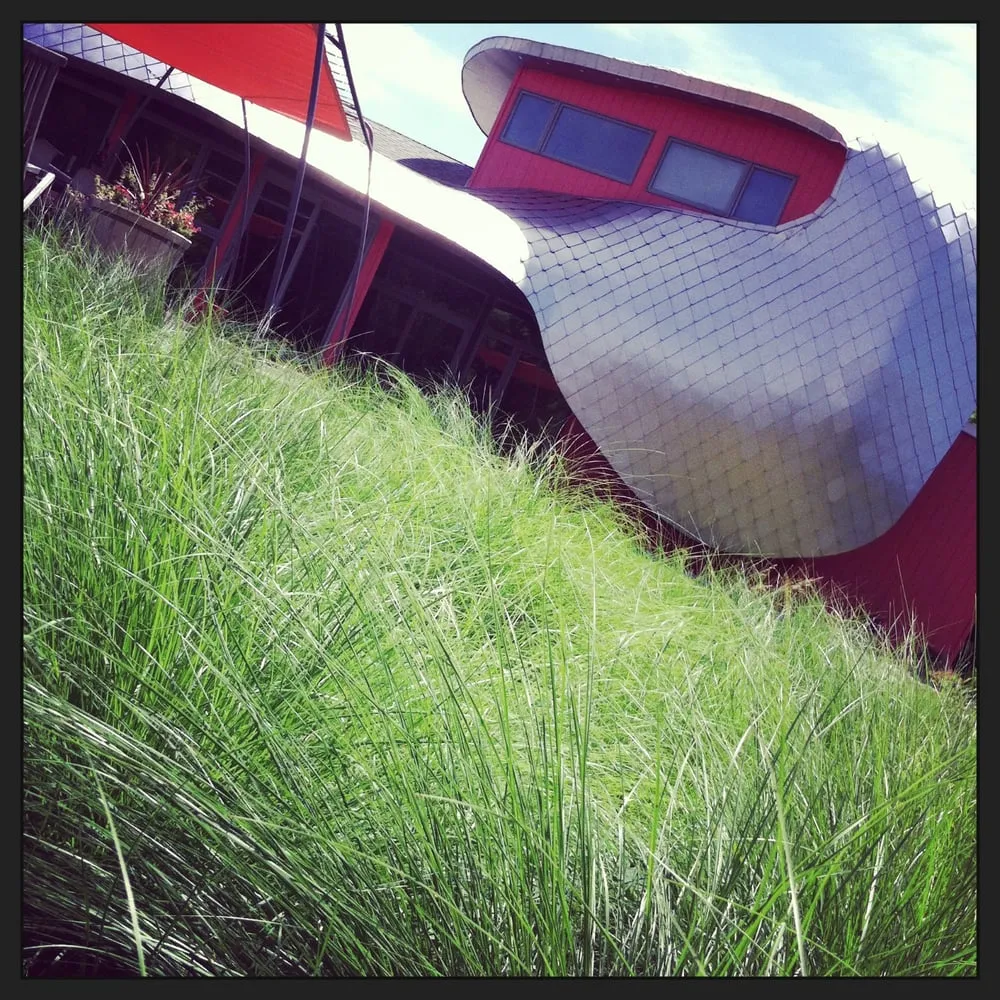 Professional lawn care service for beautiful yards across Oxford, WI - Sparrow Landscaping