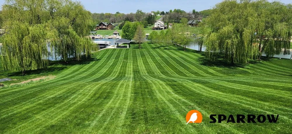 Affordable residential landscaping in Madison, WI - Sparrow