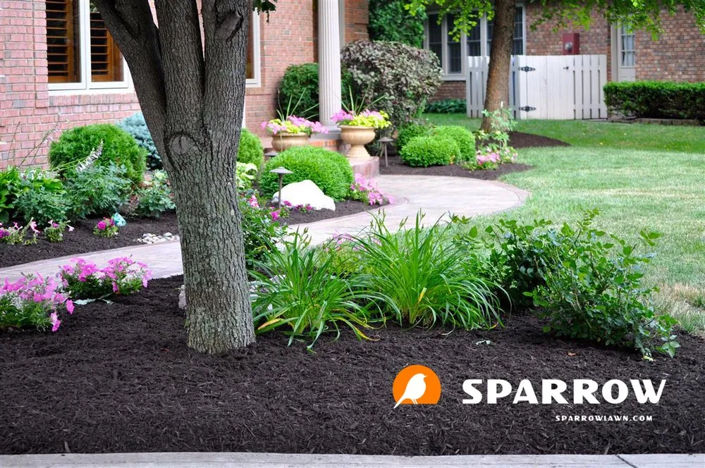 Expert outdoor landscaping in Madison, WI - Sparrow