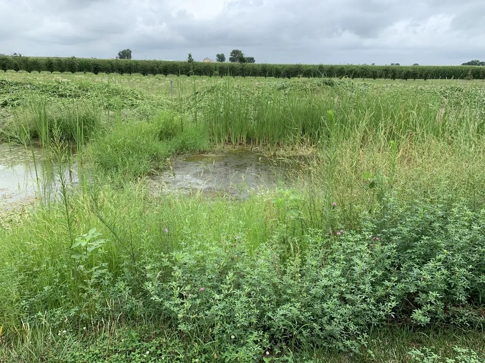 Local lawn care service in Oxford, IN by Sparrows' Lawn Service