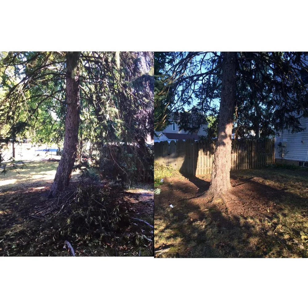 Trusted residential landscaping for outdoor upgrades across Marlton, NJ - Sparta Landscaping & Odd Jobs