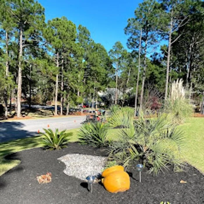 Expert yard maintenance for year-round maintenance across Blythewood, SC - Sparta Lawn Care