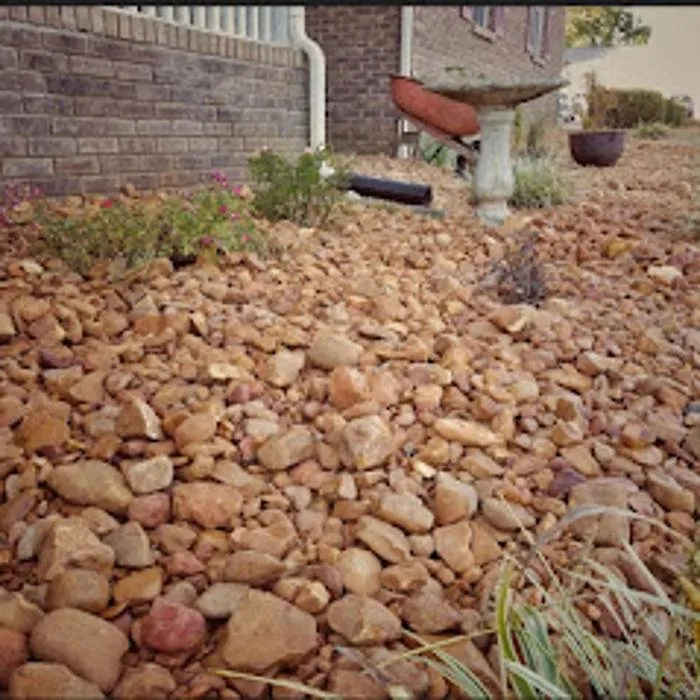 Professional yard cleanup service for year-round maintenance in Blythewood, SC by Sparta Lawn Care