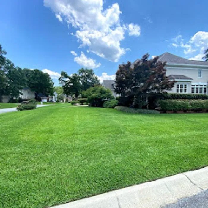 Reliable landscape installation for residential properties across Blythewood, SC - Sparta Lawn Care