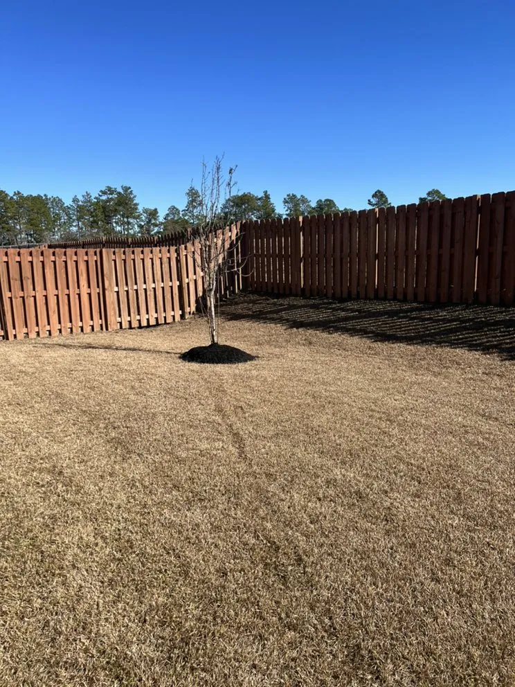 Custom garden landscaping in Blythewood, SC by Sparta Lawn Care