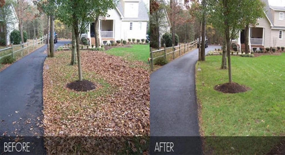 Trusted landscape installation for beautiful yards in Blythewood, SC by Sparta Lawn Care