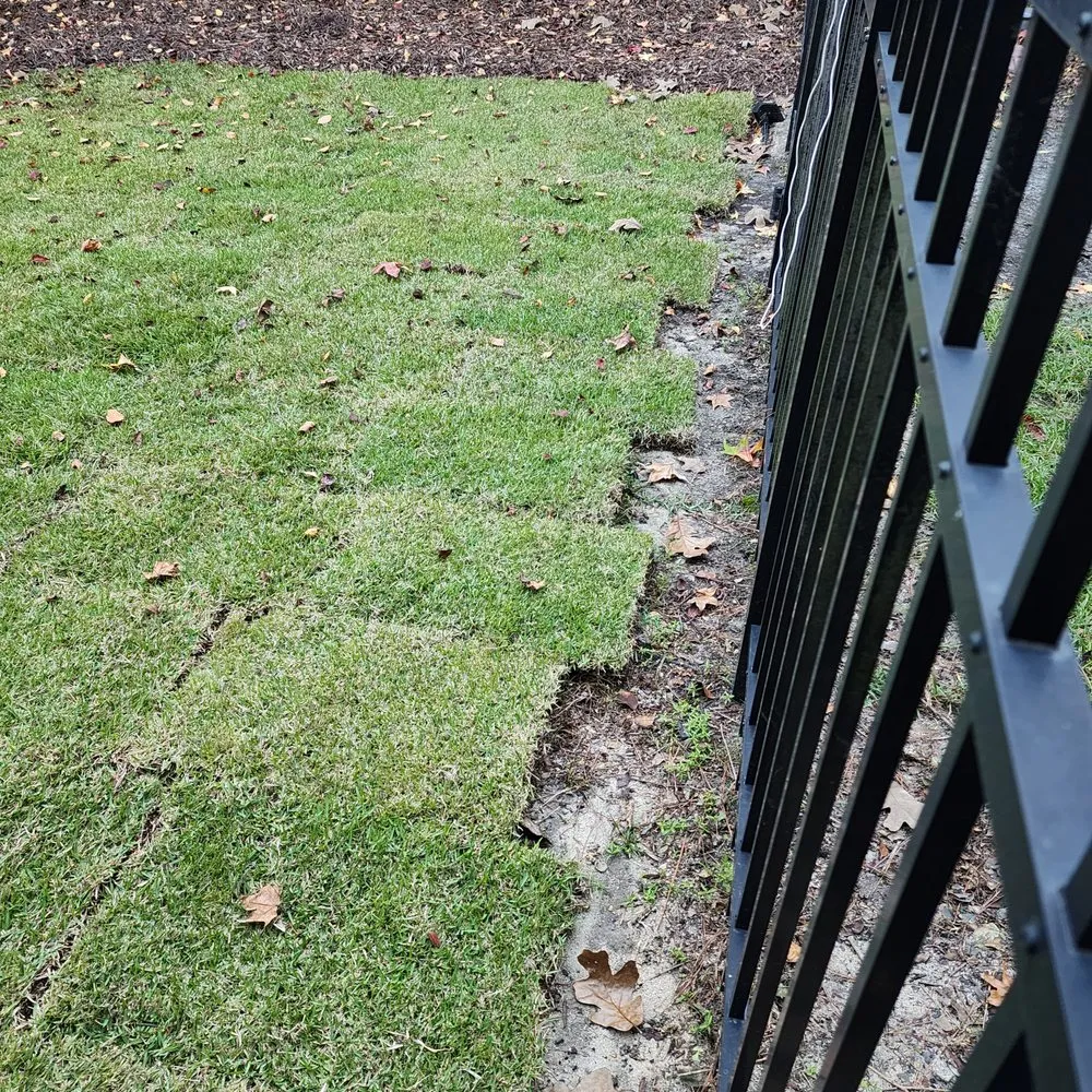 Local outdoor landscaping for residential properties in Columbia, SC by Sparta Lawn Care