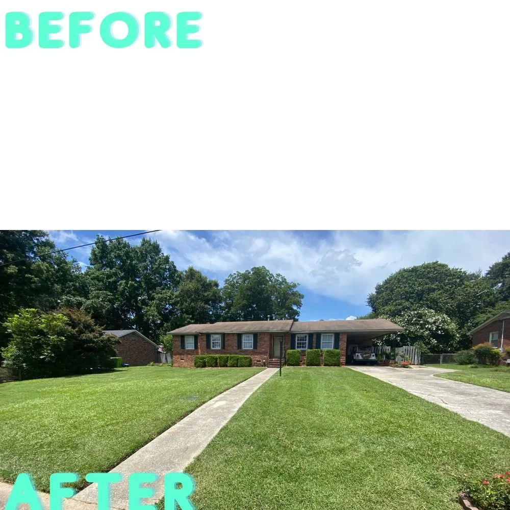 Top-rated yard cleanup service with custom design across Columbia, SC - Sparta Lawn Care