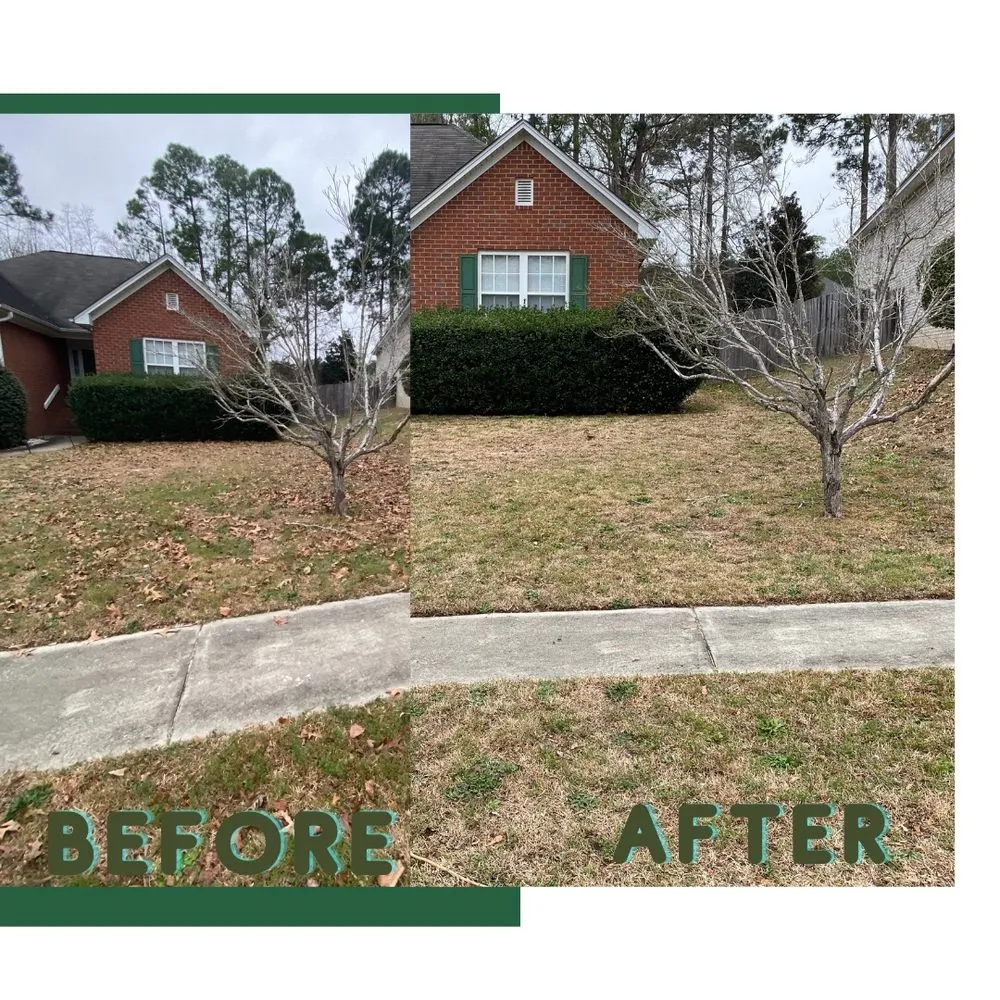 Professional lawn care service in Columbia, SC by Sparta Lawn Care