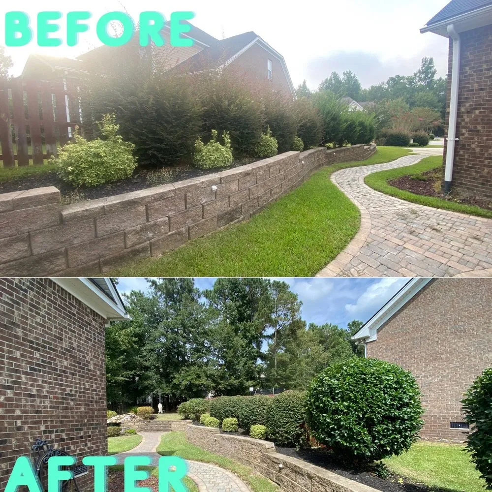 Top-rated lawn care service in Columbia, SC - Sparta Lawn Care