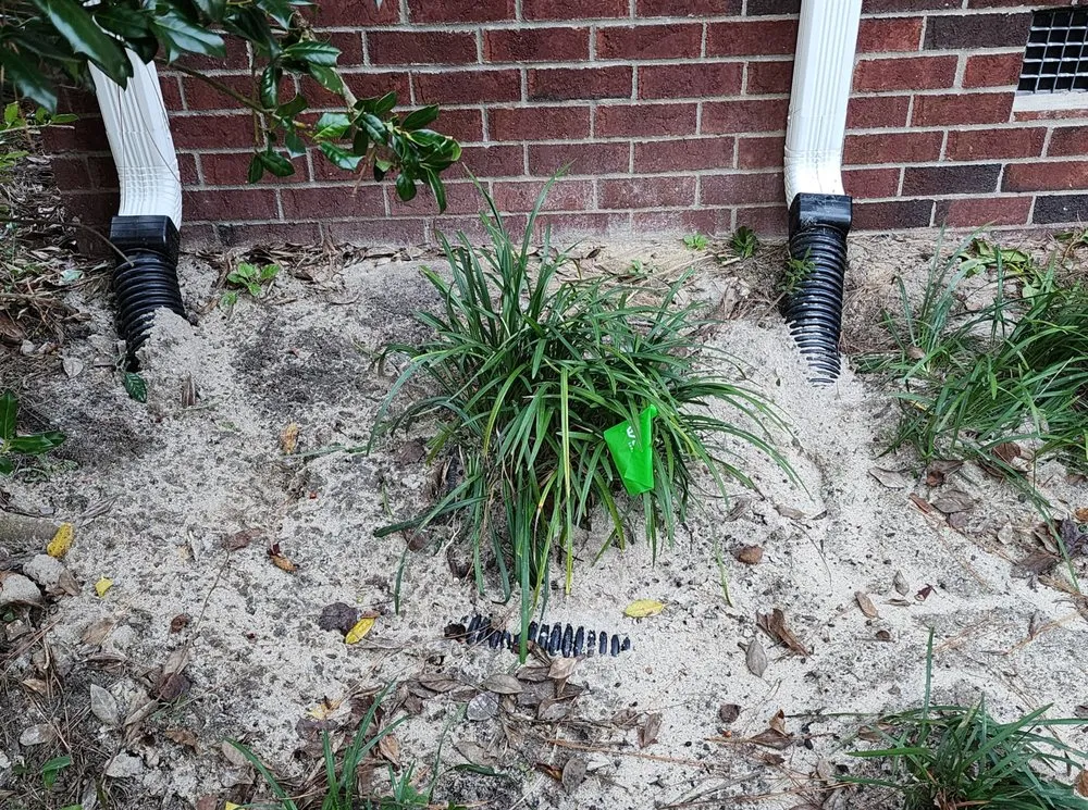 Affordable garden landscaping experts serving Columbia, SC - Sparta Lawn Care