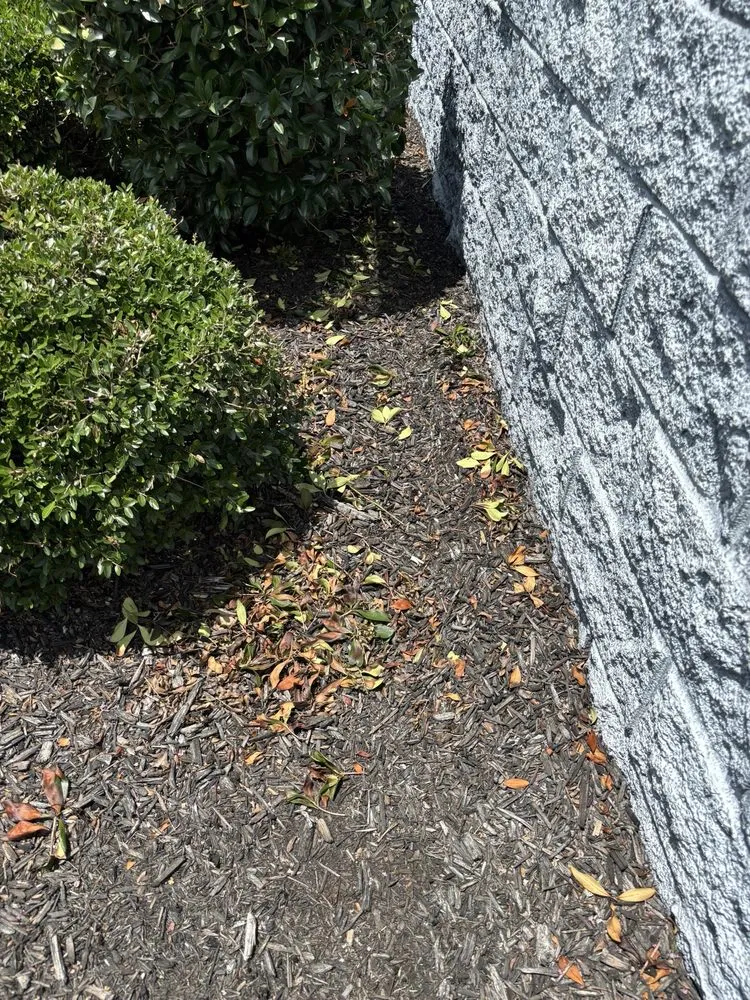 Reliable landscaping services for outdoor upgrades in Columbia, SC by Sparta Lawn Care