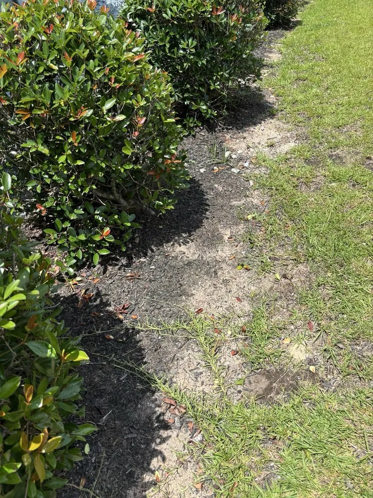 Local lawn mowing service for beautiful yards in Columbia, SC by Sparta Lawn Care