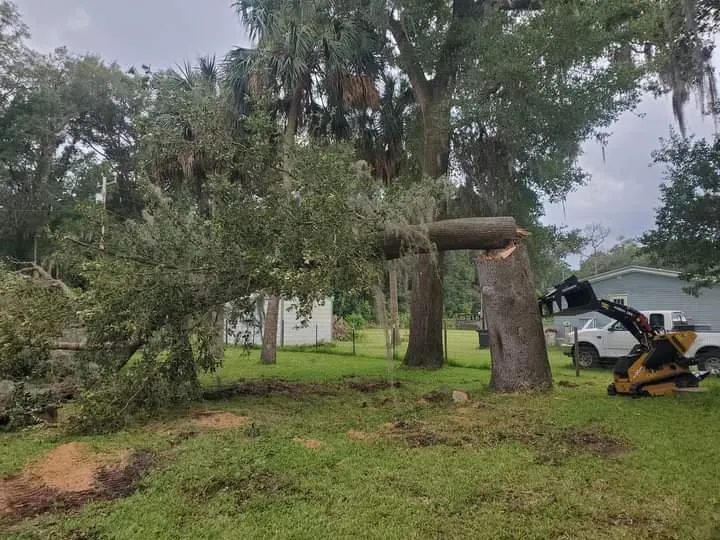 Custom landscape design in Jacksonville, FL - Spartan Bros Trees & Things