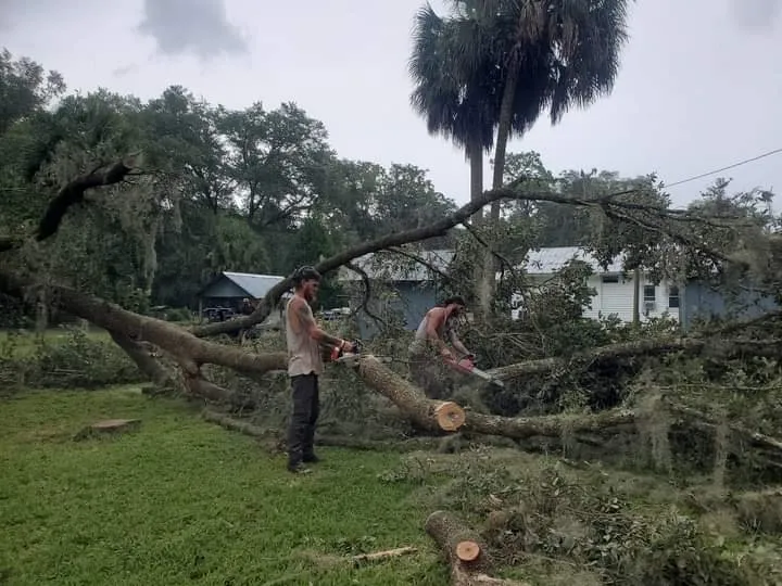 Affordable yard cleanup service experts serving Jacksonville, FL - Spartan Bros Trees & Things