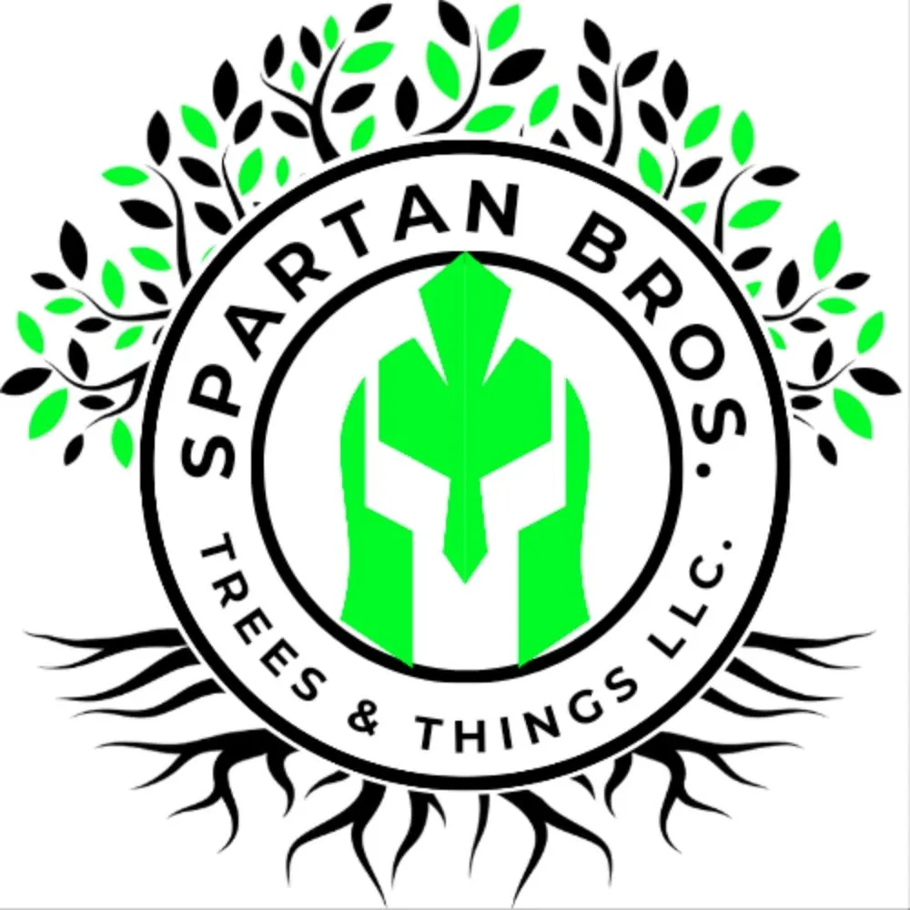 Custom landscaping services in Ormond Beach, FL - Spartan Bros Trees & Things