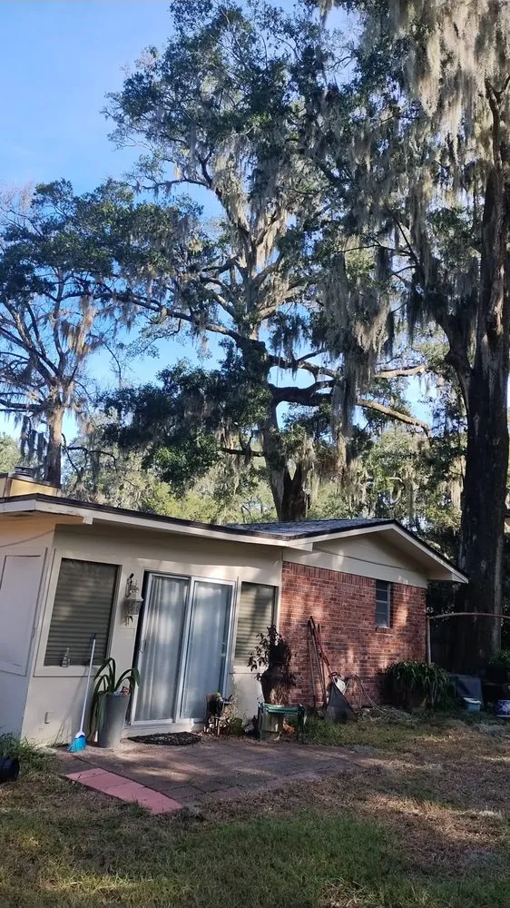 Local outdoor landscaping in Ormond Beach, FL by Spartan Bros Trees & Things