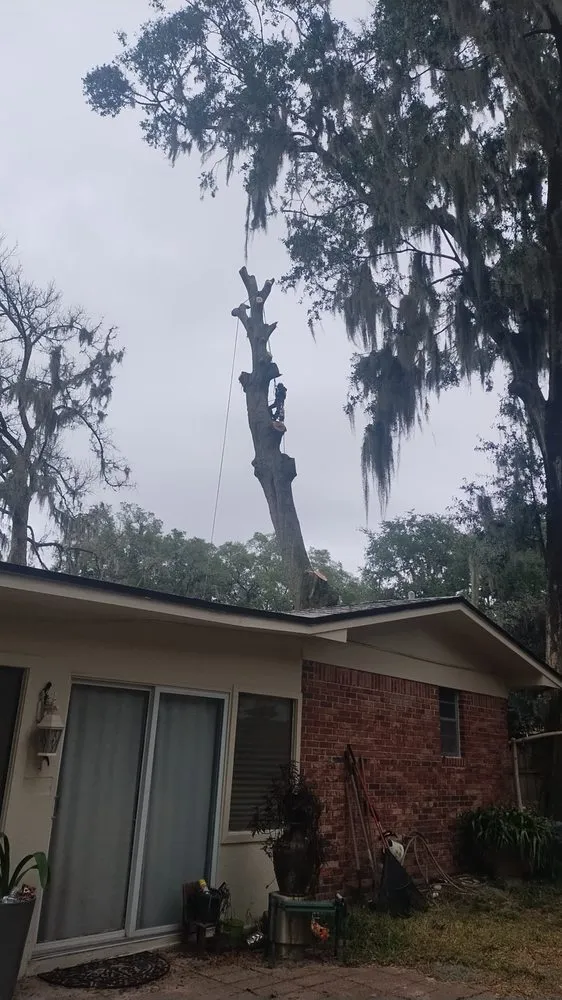 Professional outdoor landscaping experts serving Ormond Beach, FL - Spartan Bros Trees & Things