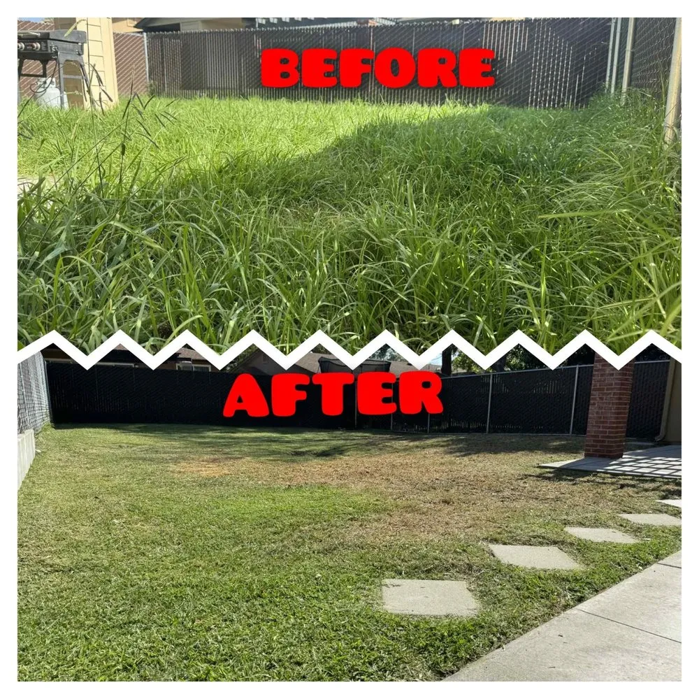Trusted residential landscaping for beautiful yards in San Diego, CA by Spartan Core Handyman Services