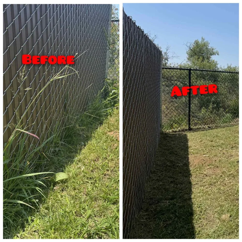 Top-rated yard cleanup service in San Diego, CA by Spartan Core Handyman Services