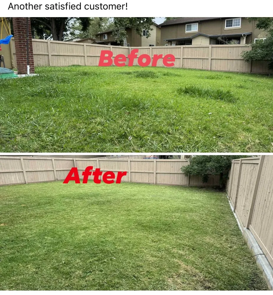 Affordable lawn care service in San Diego, CA by Spartan Core Handyman Services