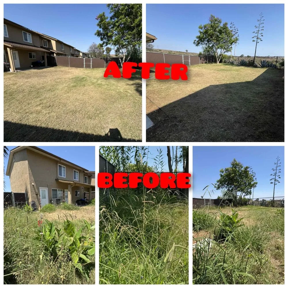 Reliable landscape installation in San Diego, CA - Spartan Core Handyman Services