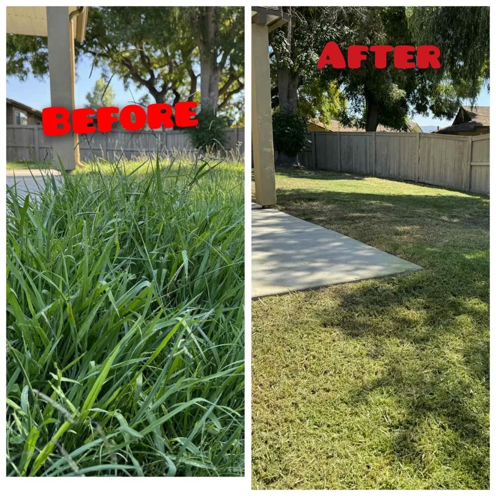 Custom lawn care service for year-round maintenance across San Diego, CA - Spartan Core Handyman Services