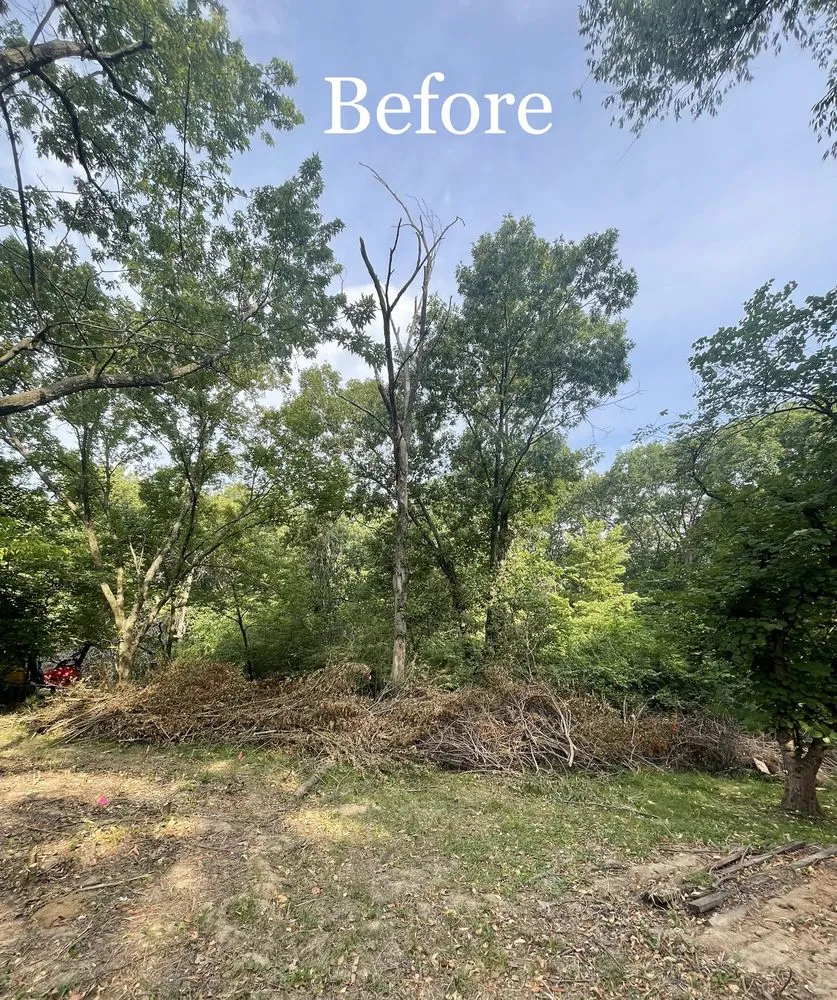 Expert landscaping services near you in Hawk Point, MO by Spartan Forestry & Mulching