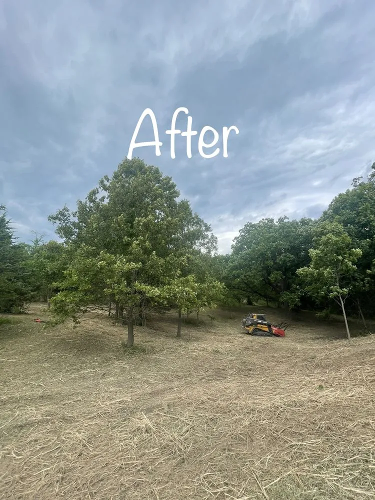 Trusted landscape installation experts serving Hawk Point, MO - Spartan Forestry & Mulching