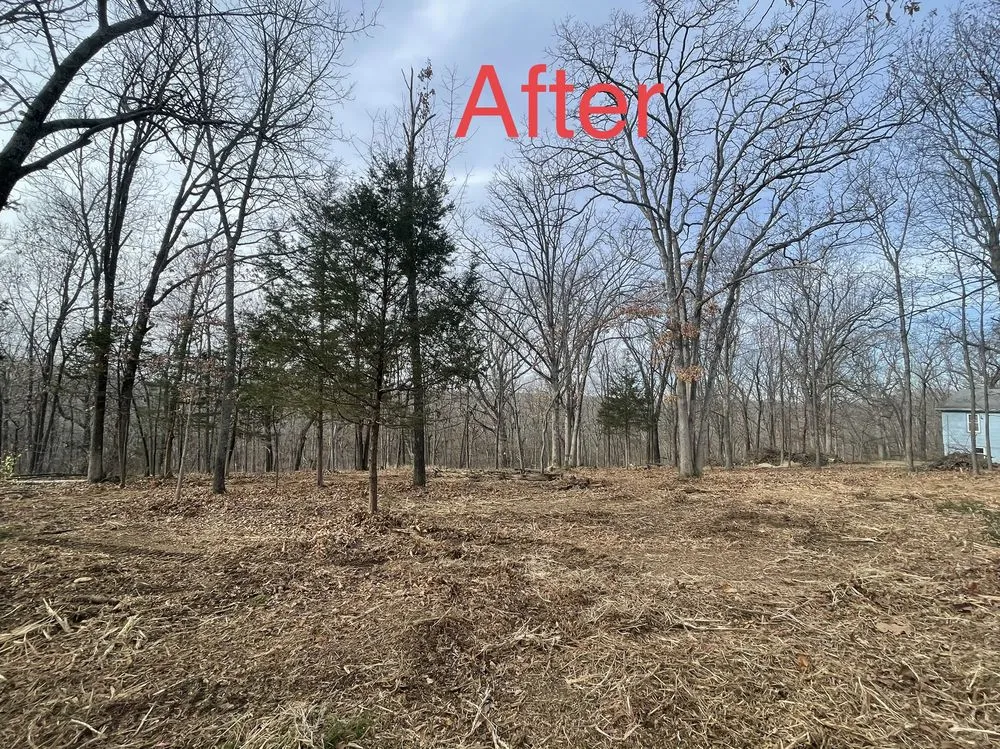 Professional landscape design in Hawk Point, MO by Spartan Forestry & Mulching