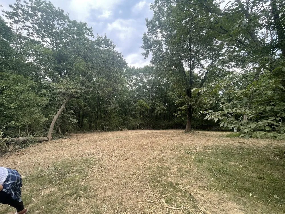 Local landscape installation for beautiful yards in Hawk Point, MO by Spartan Forestry & Mulching