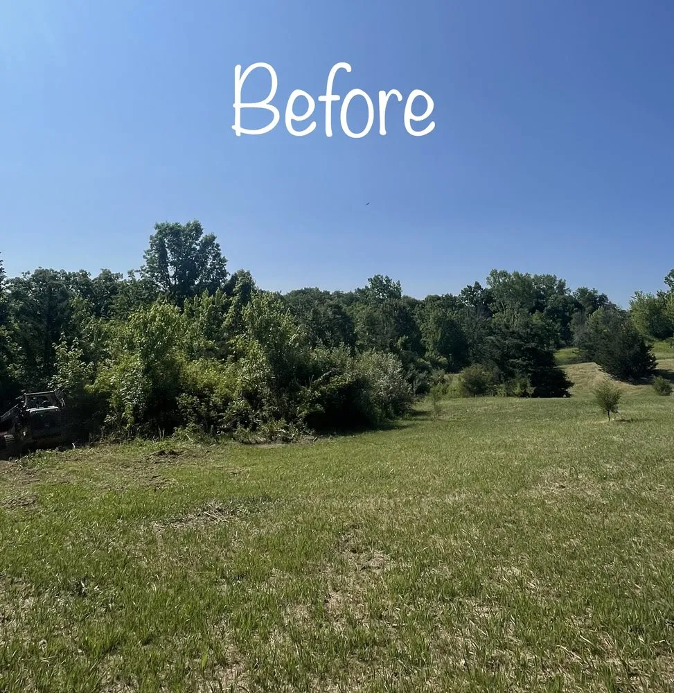 Local landscaping services for homes across Hawk Point, MO - Spartan Forestry & Mulching