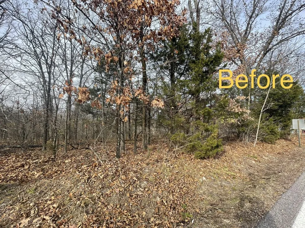 Custom landscaping services for year-round maintenance in Hawk Point, MO by Spartan Forestry & Mulching
