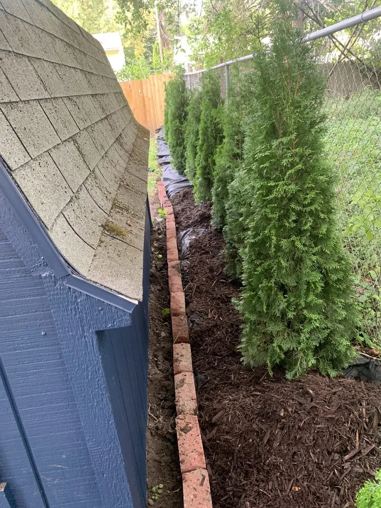 Local yard maintenance experts serving Lansing, MI - Spartan General