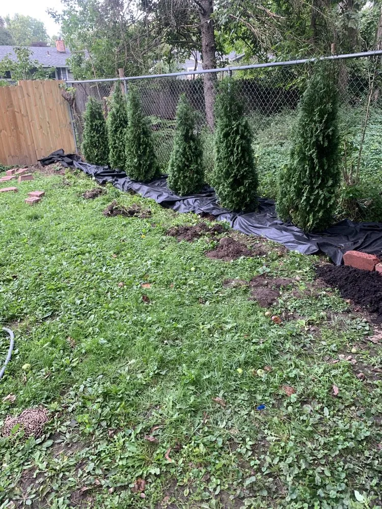 Custom outdoor landscaping for beautiful yards in Lansing, MI by Spartan General