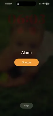 Spartan Irrigation & Landscape Lighting