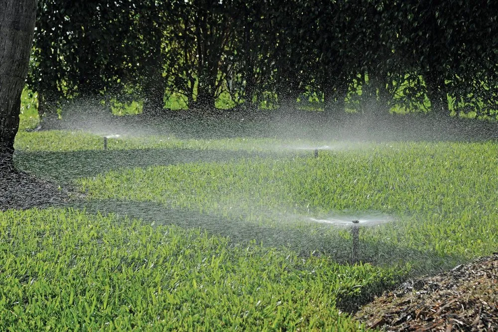 Reliable landscaping services experts serving Lansing, MI - Spartan Irrigation