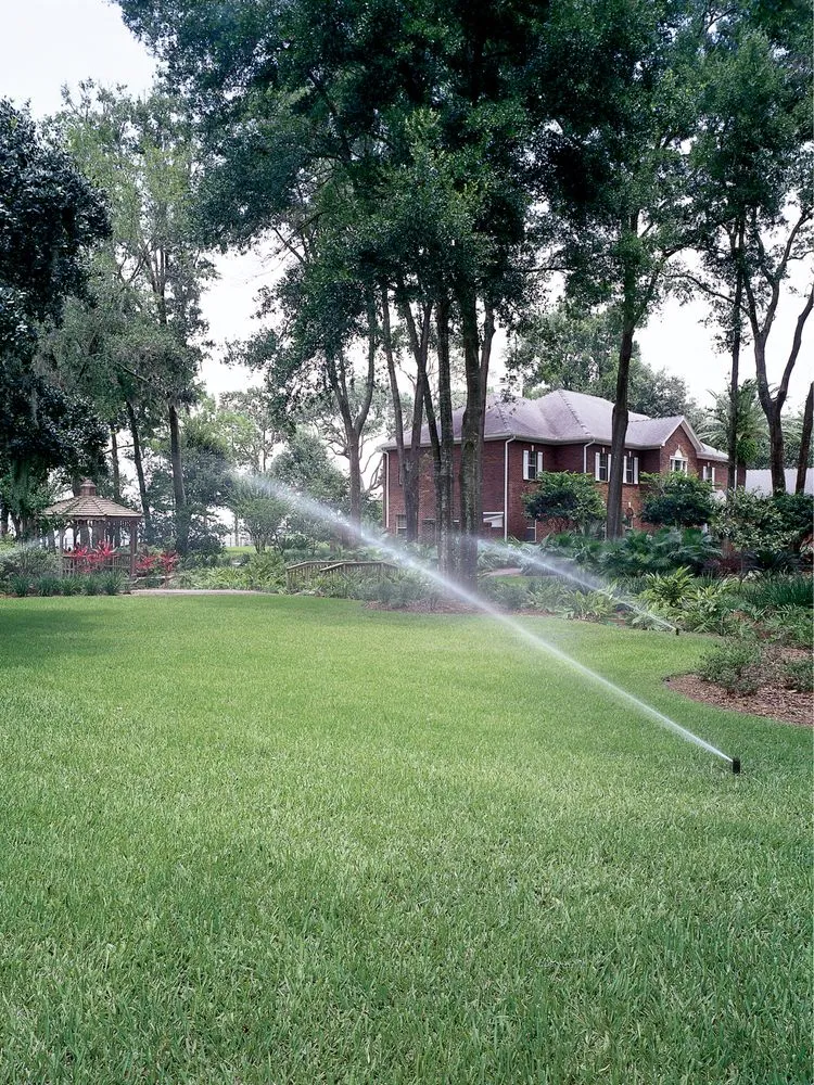 Affordable lawn care service experts serving Lansing, MI - Spartan Irrigation