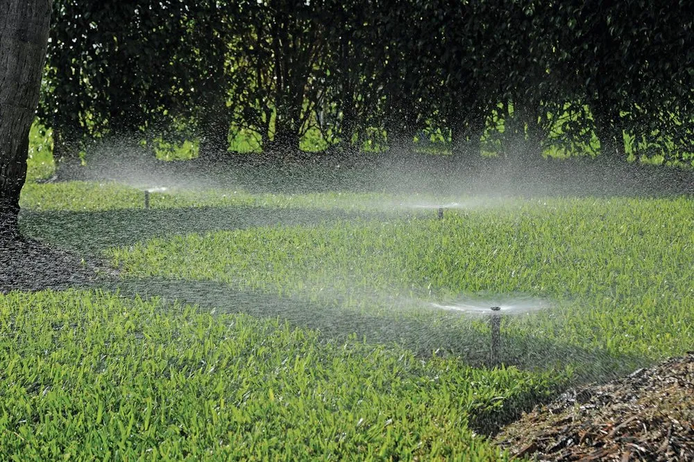 Local landscape design in Spring Arbor, MI - Spartan Irrigation