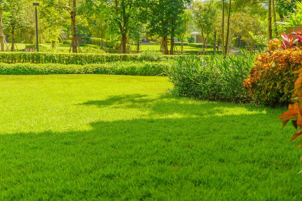 Expert lawn care service in Spring Arbor, MI by Spartan Irrigation