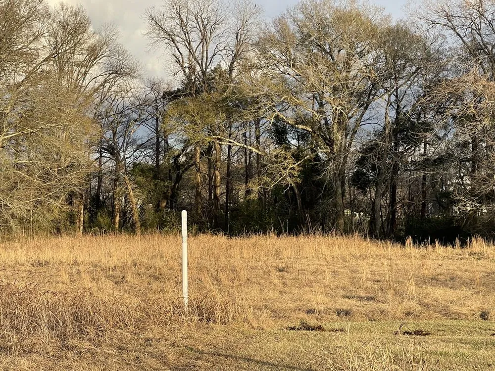 Reliable landscaping services in Maurice, LA - Spartan Land Management