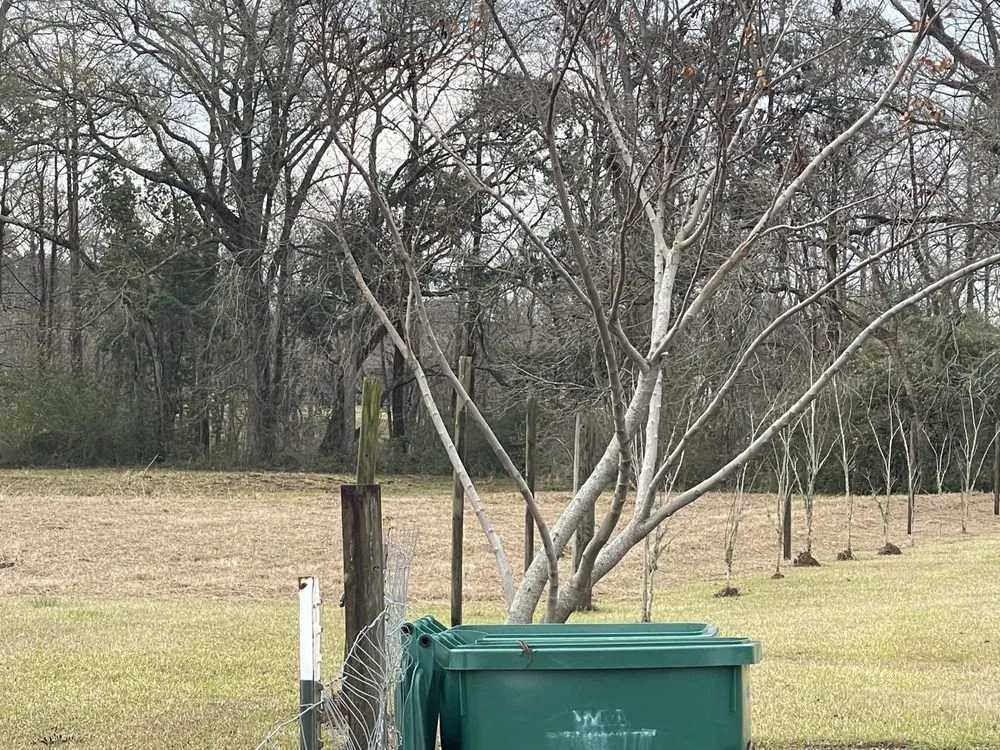 Custom garden landscaping experts serving Maurice, LA - Spartan Land Management